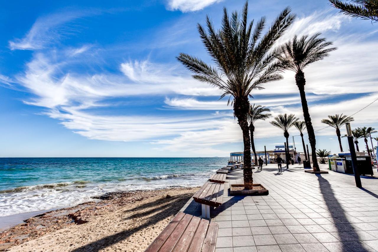 Apartamento Caballero De Rodas Torrevieja Exteriör bild