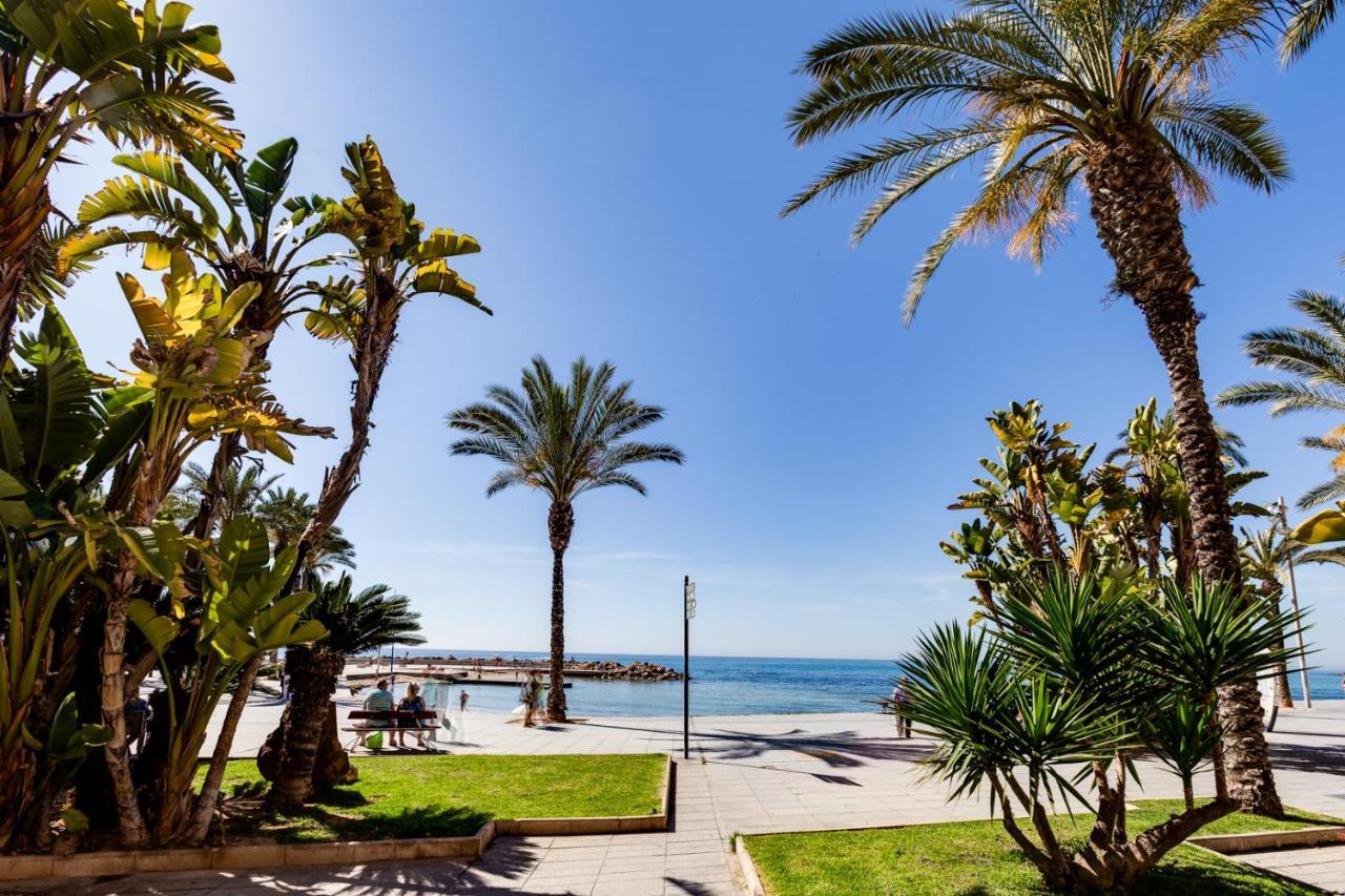 Apartamento Caballero De Rodas Torrevieja Exteriör bild